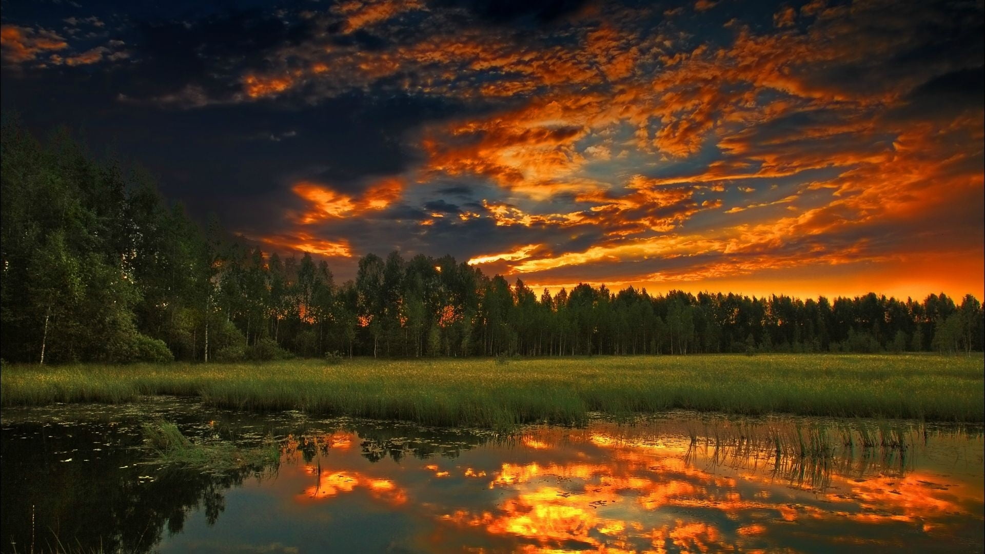 photography of body of water near green leaves trees during sunset