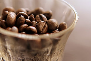 close up photo of coffee seeds in clear glass bowl