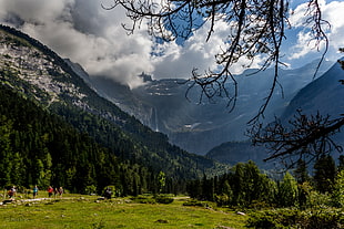 Green forest under blue sky