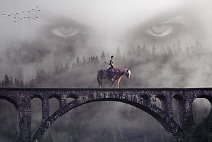 man riding horse digital wallpaper HD wallpaper