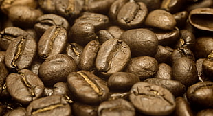 brown coffee beans