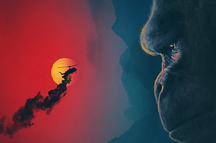 King Kong movie HD wallpaper