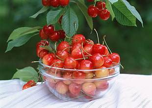 red cherries in clear glass bowl