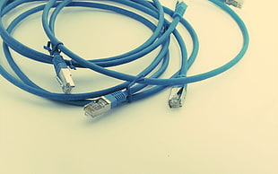 blue ethernet cable HD wallpaper