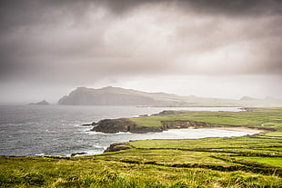 green grass land beside body of water, ireland HD wallpaper