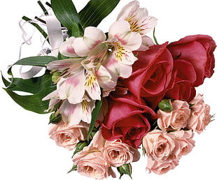 bouquet of white and red flowers