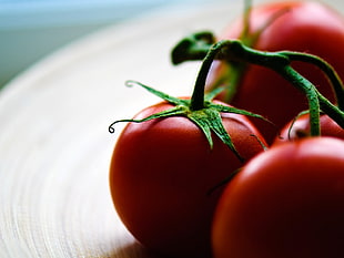 red tomato HD wallpaper