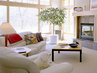 living room sofa set HD wallpaper