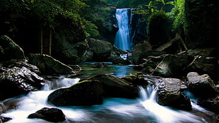 waterfalls, river, forest, rock HD wallpaper