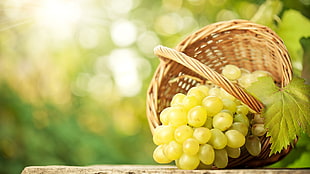 green grapes and brown wicker basket, food, grapes HD wallpaper