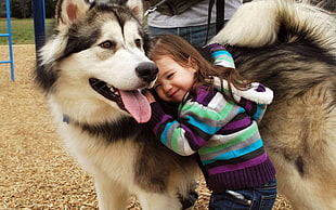 toddler wearing multicolored striped hoodie hugging Husky dog HD wallpaper