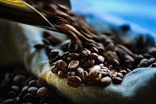 time lapsed photography of coffee beans HD wallpaper