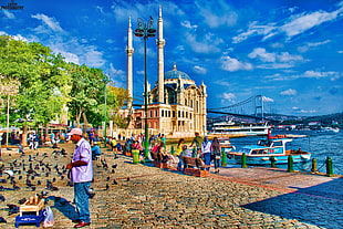 white and blue mosque beside blue sea