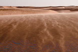 landscape photo of desert