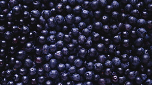 bunch of blueberries, blueberries, food, berries HD wallpaper