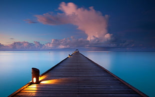 brown wooden dock, walkway, clouds, sea, nature HD wallpaper