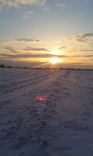 snow field and golden hour, snow, nature, winter, cold HD wallpaper