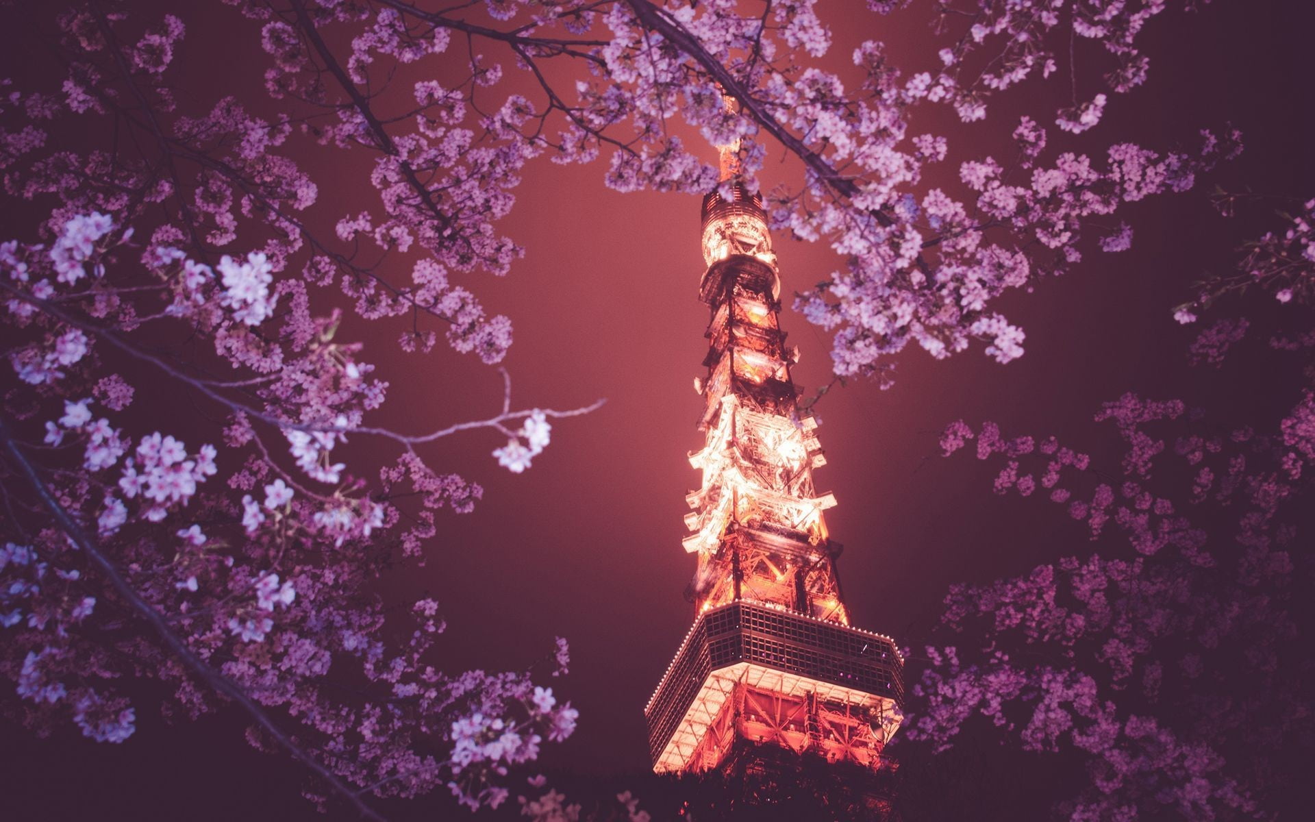 3840x2160 resolution | purple flowers, flowers, Tokyo Tower, Japan ...