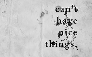 Can't have nice things text HD wallpaper