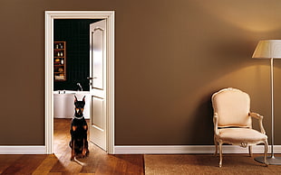 black and tan Doberman Pinscher beside rococo fauteiul HD wallpaper