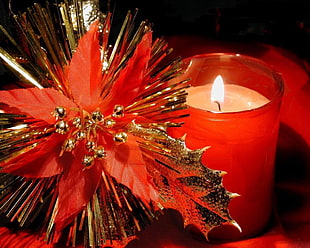 lighted candle near red poinsettia wallpaper HD wallpaper