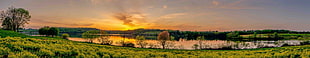 green grass fields, sunset, lake, panorama, grass