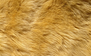 brown long-fur animal