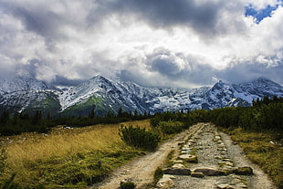 green field, nature, landscape, mountains, Tatra Mountains HD wallpaper