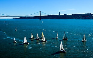 sailing boats at sea