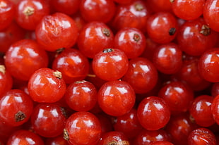 photo of stack of red cherries HD wallpaper