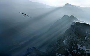 black air glider, nature, landscape, mist, sports HD wallpaper