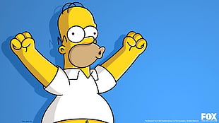 The Simpsons Homer, Homer Simpson