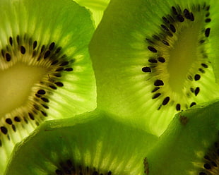 green sliced Kiwi HD wallpaper