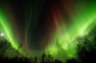 photo of Aurora lights HD wallpaper