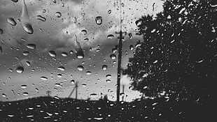 water dew grayscale photo, rain, nature, water on glass