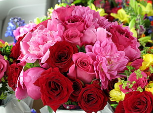 pink flower and red Rose and Mums flower bouquet HD wallpaper