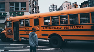 orange bus, New York City, buses, Harlem, street HD wallpaper