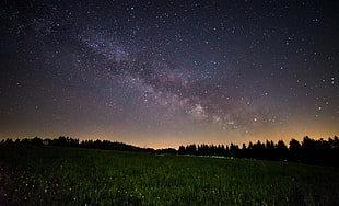 green grass field under starry night HD wallpaper