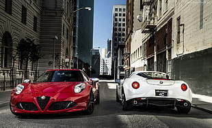 two white and red muscle cars, Alfa Romeo, Alfa Romeo 4C, car HD wallpaper