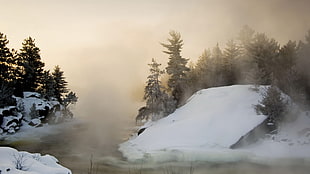 brown house filled with snow photo