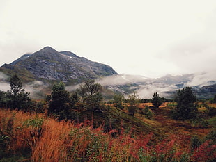 green mountains, landscape, mountains