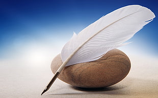 white quill, quills, feathers, stones HD wallpaper