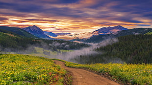 grass covered mountains