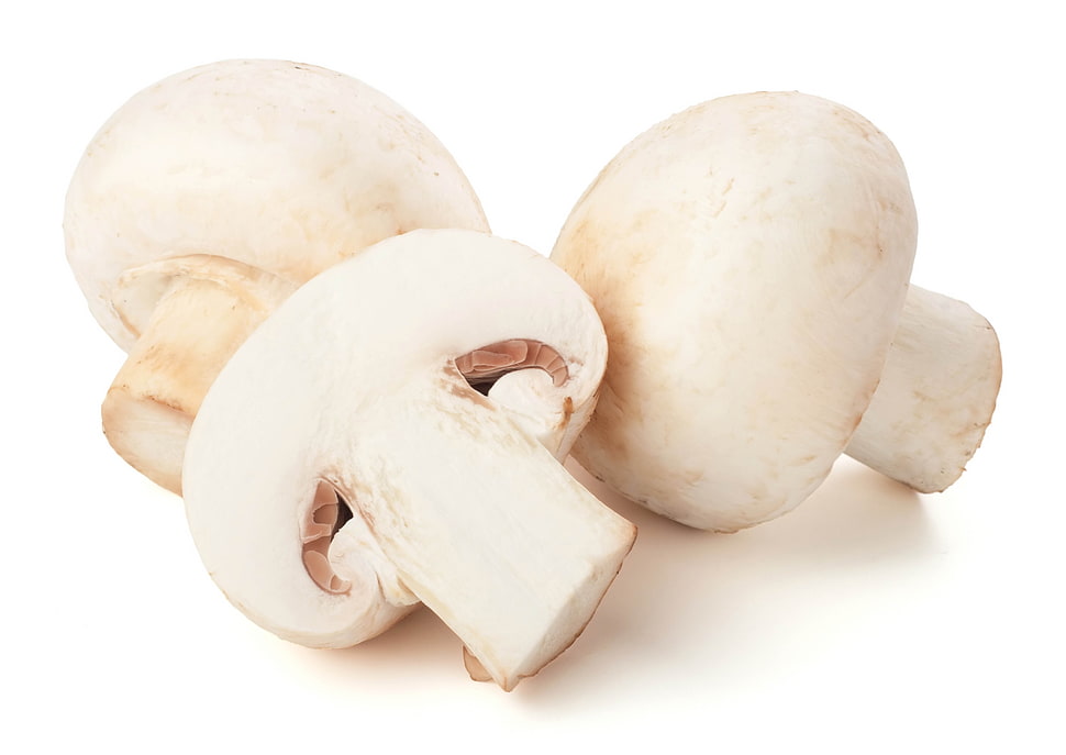 three white button mushrooms HD wallpaper