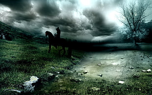 black sillouhette of horse on green grassland HD wallpaper