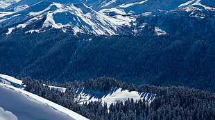 aerial photography of snowy mountain during daytime