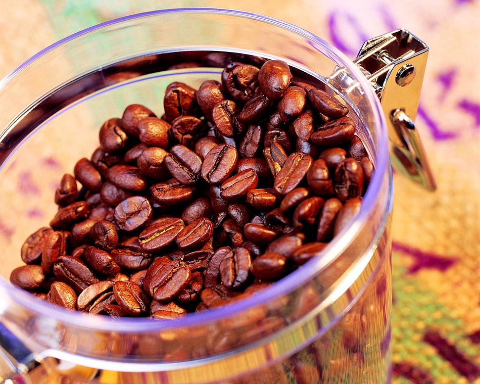 Coffee beans on white clear glass jar HD wallpaper | Wallpaper Flare