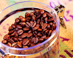 coffee beans on white clear glass jar HD wallpaper