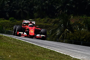 red Shell F1, car, Formula 1 HD wallpaper