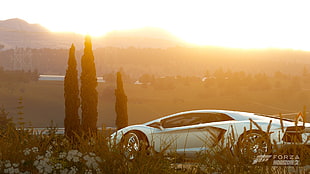 Forza Horizon 2 digital wallpaper, Forza Horizon 2, Forza Motorsport, Lamborghini, Lamborghini Aventador HD wallpaper